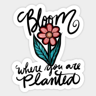 Bloom where you are planted Sticker